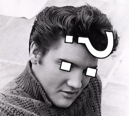 The elvis operator is so named because, when rotated clockwise, it looks like Elvis Presley...